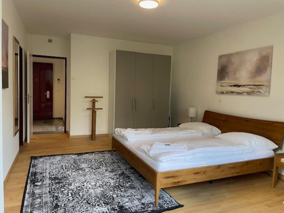 Amazing 2 Bedroom Flat: Specious And * Zúrich